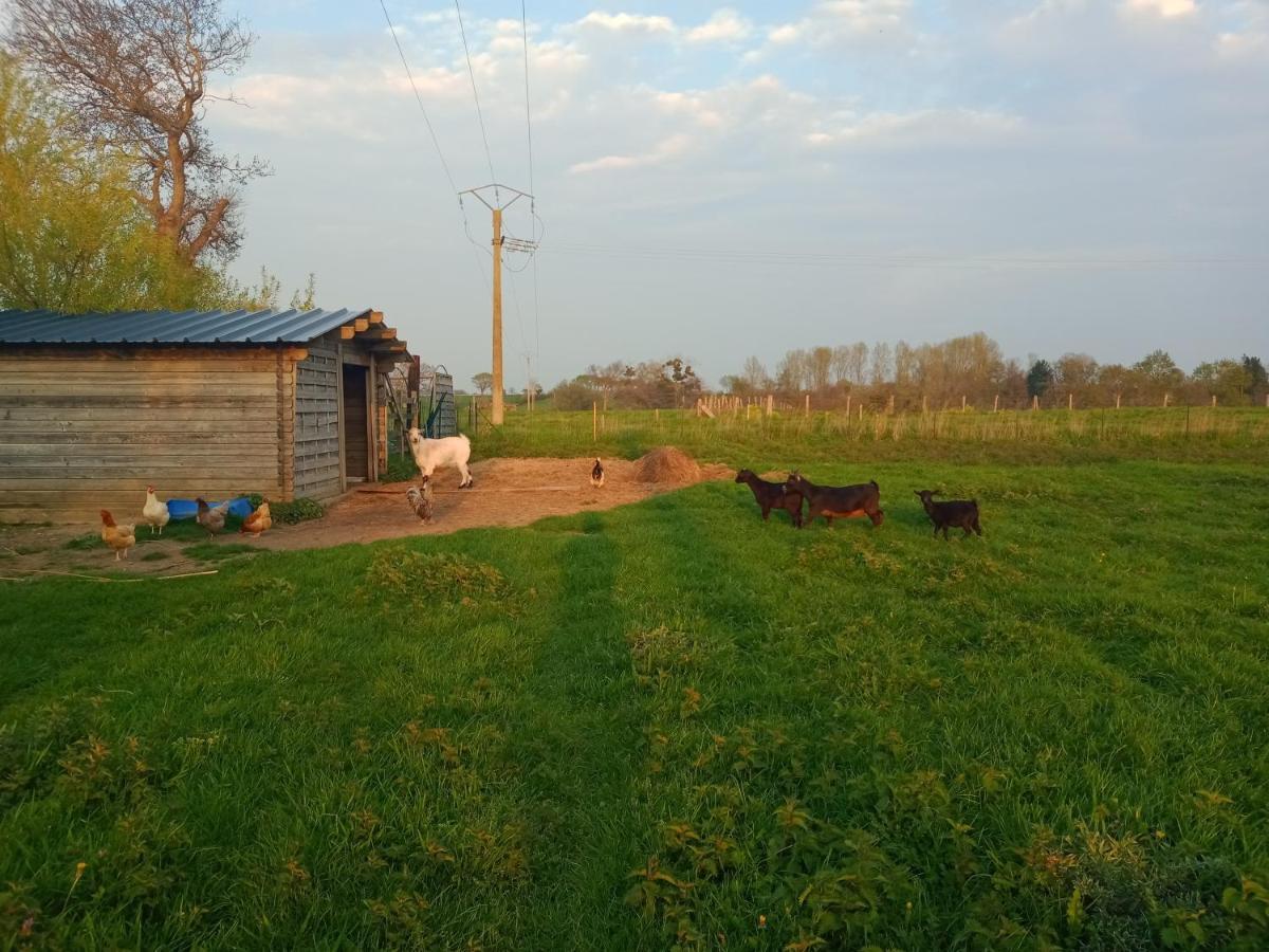 La Ferme d' Emerentine Bacilly Exterior foto